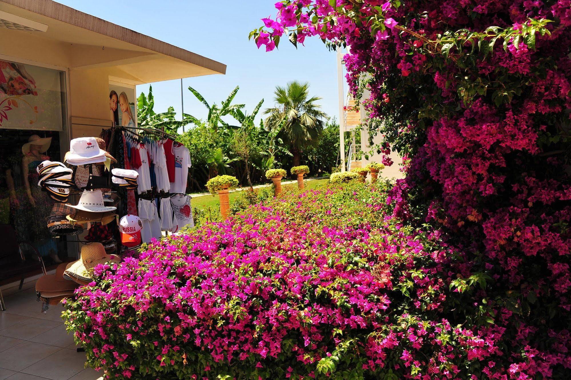 Daima Resort Hotel كمر المظهر الخارجي الصورة